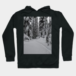 Quiet Snow Shoeing Trail Hoodie